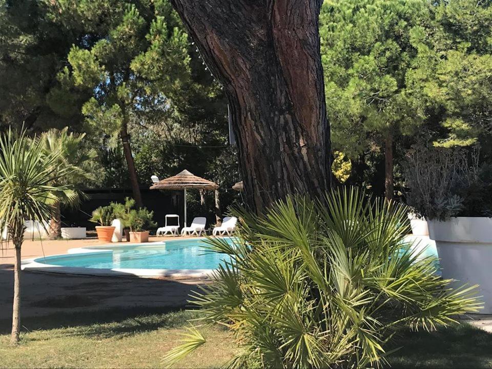 Hotel Perrozzi Vasto Luaran gambar